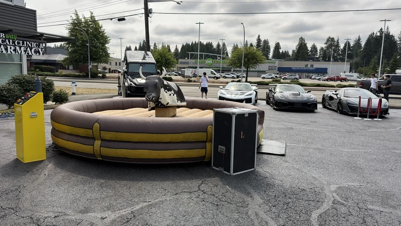 Mechanical Bull