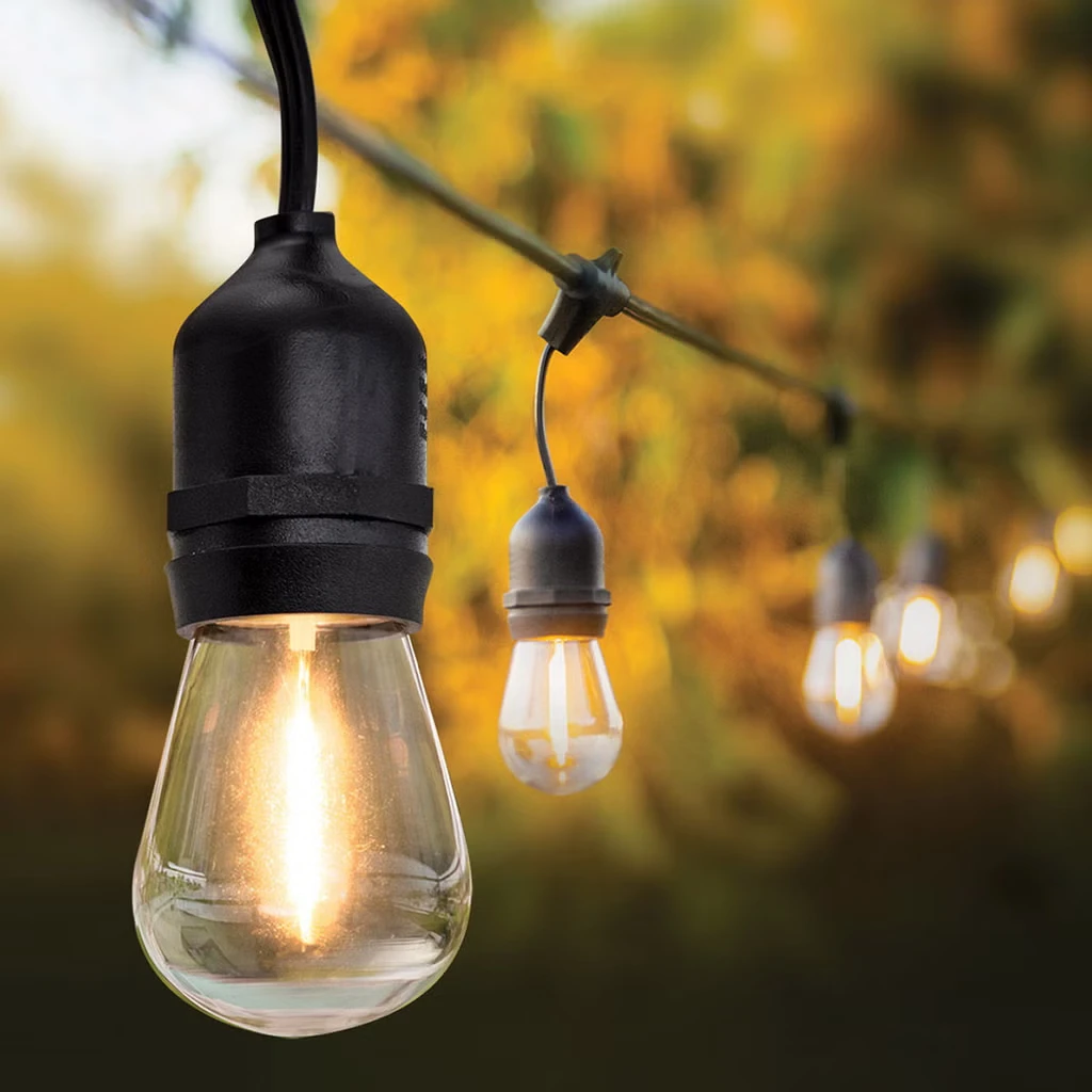 Feit warm LED string lights with black cord and filament-style bulbs